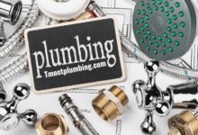 Professional Plumber