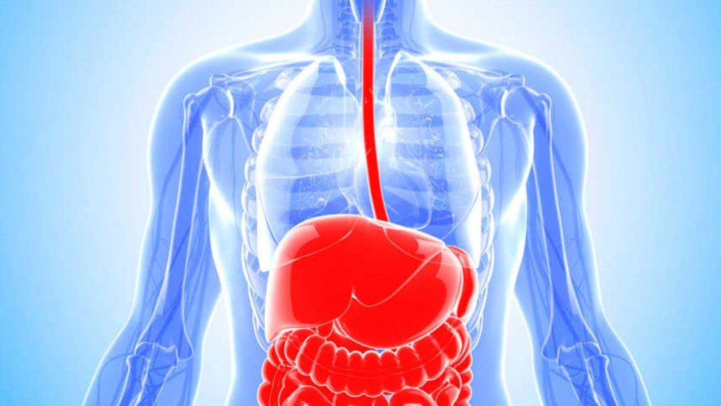 Barrett’s Disease causes, symptoms and remedies