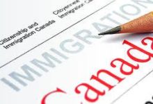benefits of hiring an immigration consultant