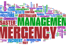 Issues and Challenges for Emergency Management in Health
