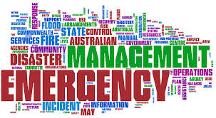 Issues and Challenges for Emergency Management in Health