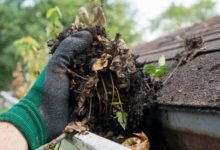 rain gutter cleaning