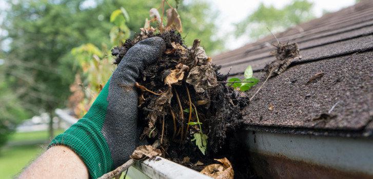 rain gutter cleaning