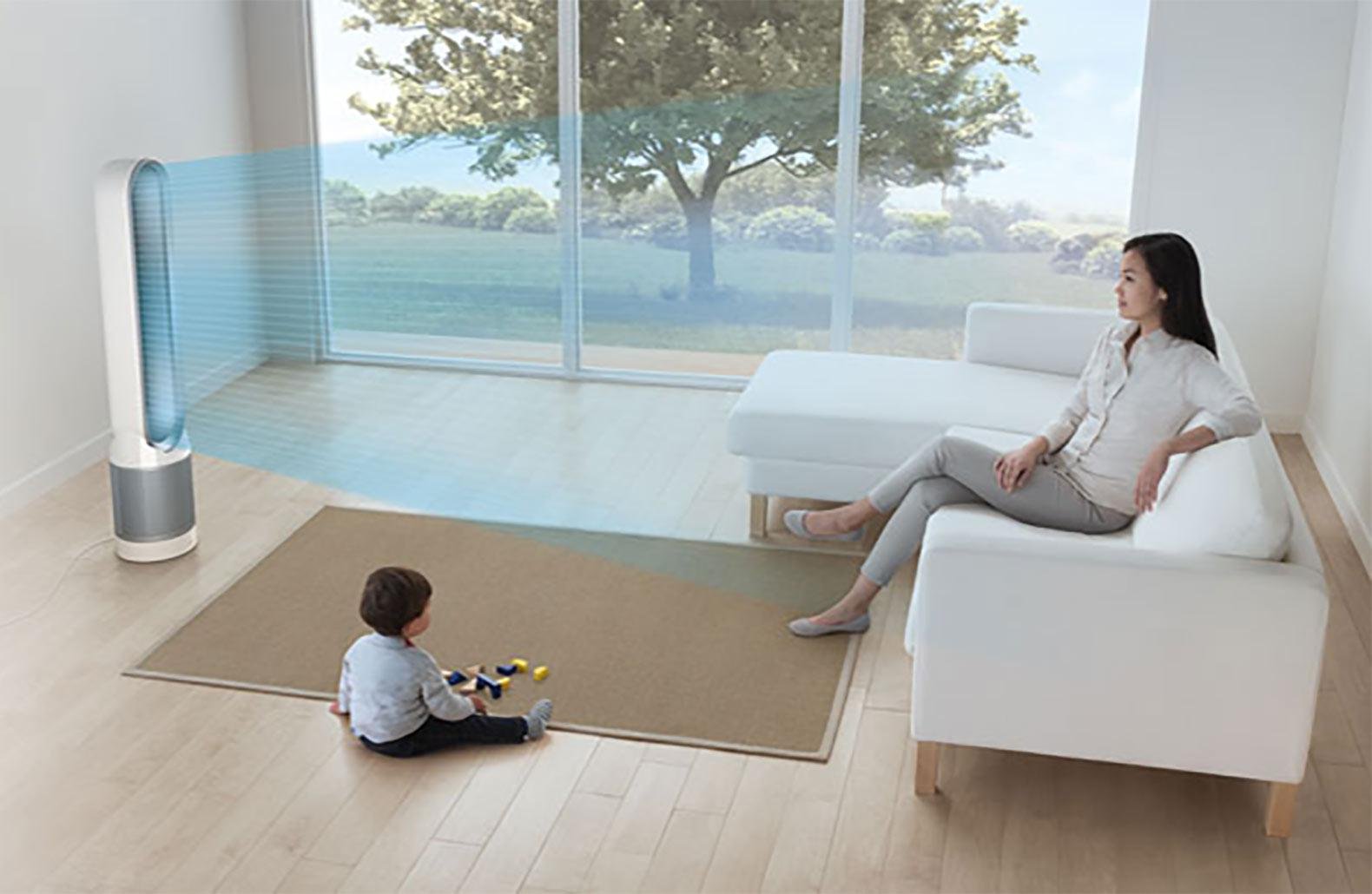 It is pivotal to select the right sort of purifier for your house