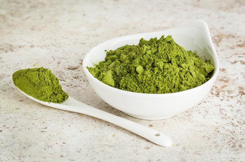 Best Protein Powders for Vegans