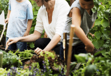 Sustainable Measures to Protect the Environment