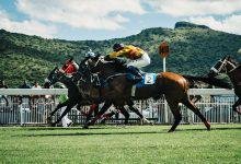 Long Horse Riders