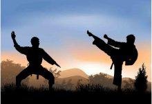 Karate Management