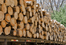Why is Redgum firewood the best for your fireplace
