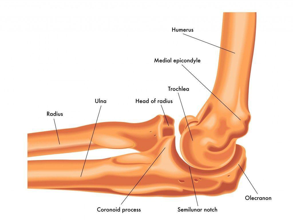 Radius and Ulna Mechanism of Injury