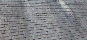 roof cleaning | All-Clean!