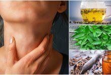 Herbal Remedies for Throat Infection