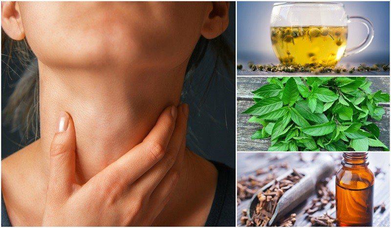 Herbal Remedies for Throat Infection