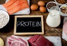 Protein Supplements