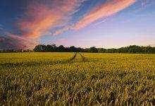 Farming Industries