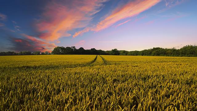 Farming Industries