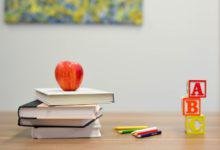 Teaching Career