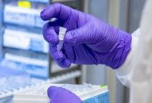 Myths About DNA Testing