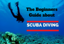 Scuba Diving