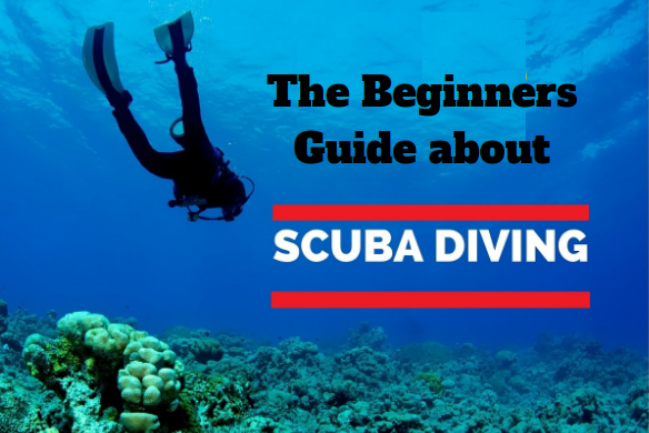 Scuba Diving