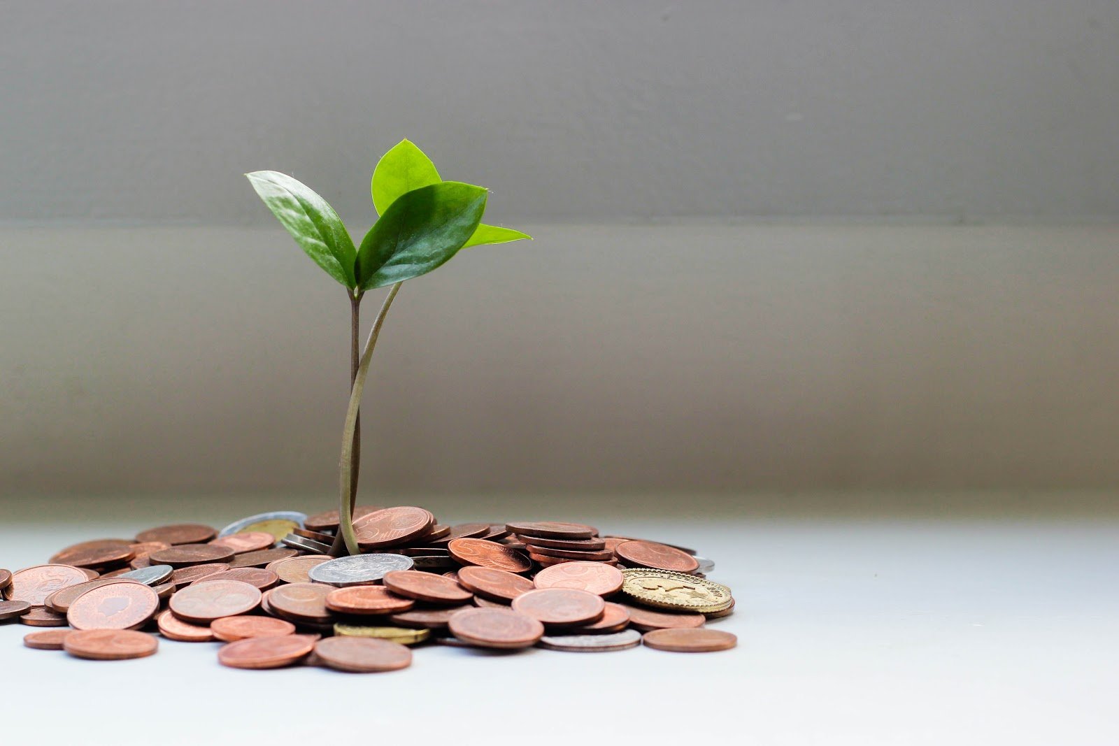 Debt Disasters – The 4 Worst Kinds Of Debt (And How To Free Yourself From Them)