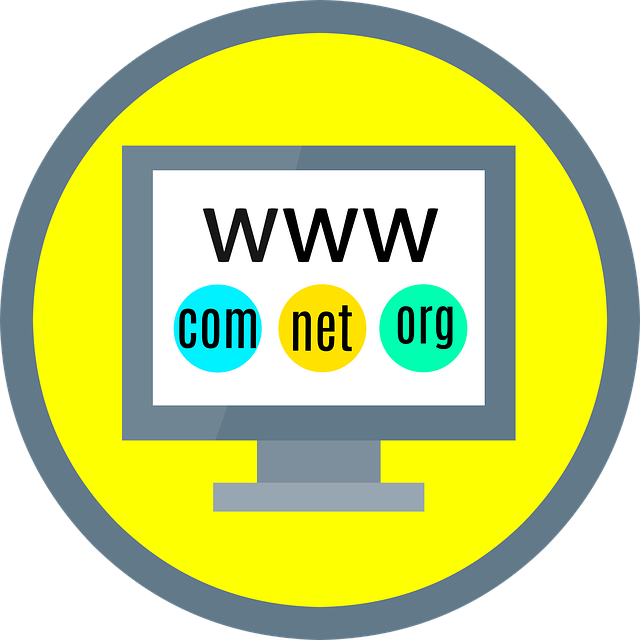 premium domain names