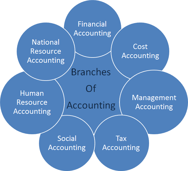 Branches of Accounting