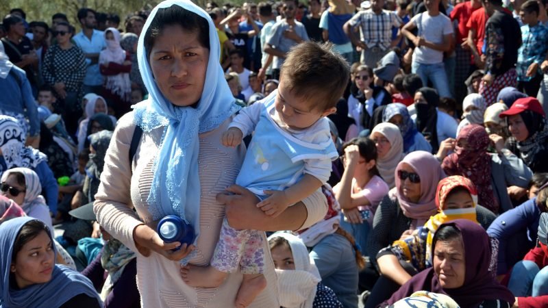 Rajkotupdates.news: Asylum seeker fingerprint plans in Jeopardy?