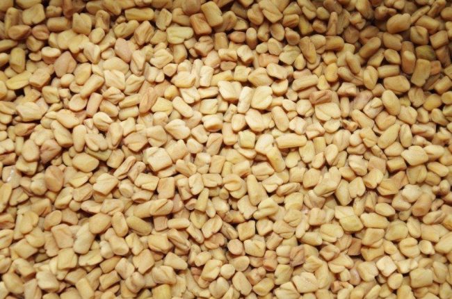 Fenugreek Seed Extract