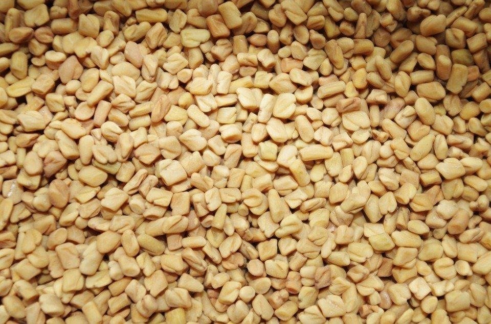 Fenugreek Seed Extract: Can It Help Promote Hair Growth?