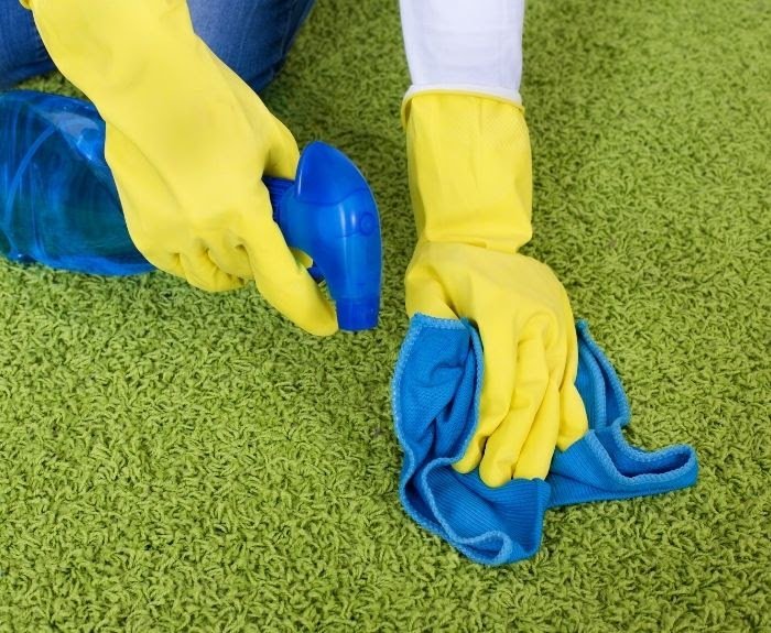 5 Carpet Cleaning Tips for the Summer